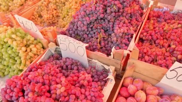 Panning Uitzicht Vers Fruit Tentoongesteld Buitenlucht Lokale Armeense Markt — Stockvideo