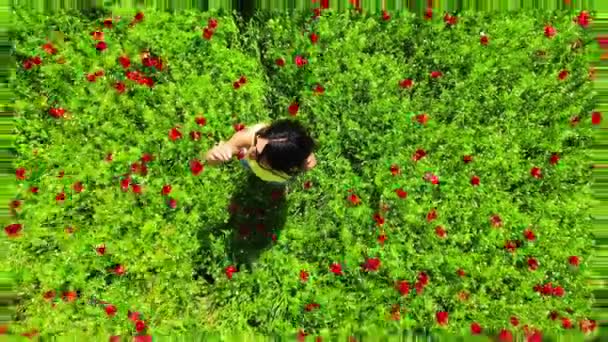 Aerial Top Rosnący Widok Młoda Kaukaska Kobieta Wyciągniętymi Rękami Cieszyć — Wideo stockowe