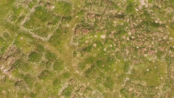 Aerial View Ani Ruins Archeological Site Textures Pathways Heritage Site — Stock video