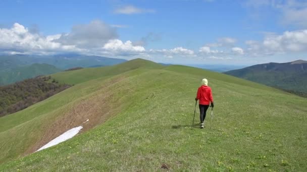 Back Ver Caminante Mujer Nordic Caminar Seguimiento Aire Libre Naturaleza — Vídeo de stock