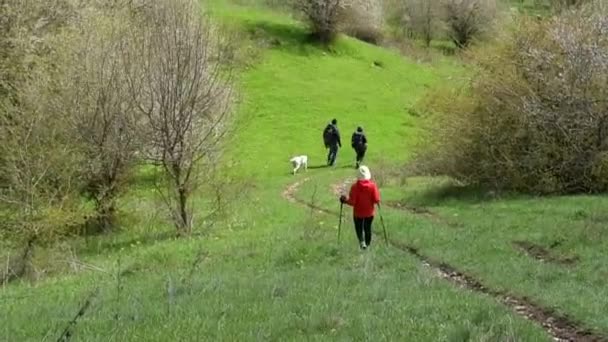 Jonge Groep Kaukasische Wandelaars Wandelen Het Voorjaar Het Groene Bergpad — Stockvideo