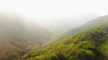 : Hava ağır çekim puslu sisli yeşil dağlar yazın fotokopi alanı arkaplanlı panorama