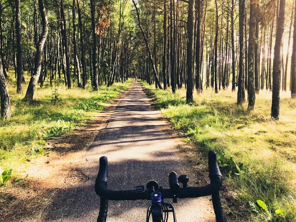 Vista Frontal Bicicleta Estrada Alças Bicicleta Com Fundo Árvore Florestal — Fotografia de Stock