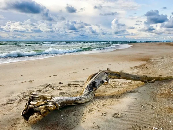 バルト海の静かな夏のシーン 美しい青空と雲景 — ストック写真