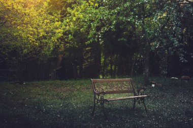 Doğada karamsar fantezi atmosferik doğada izole edilmiş bir bank. Keder ve yalnızlık kavramı