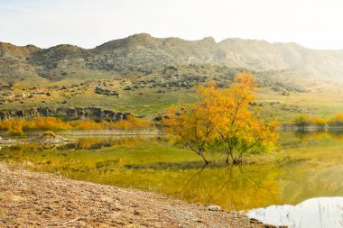 Mravaltskaro reservoir in autumn with tent and white desert canyons in background. Georgia travel destination in autumn