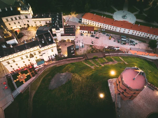 Воздушная Живописная Столица Литвы Гедиминас Крепость Башня Панорамой Города Балтийское — стоковое фото