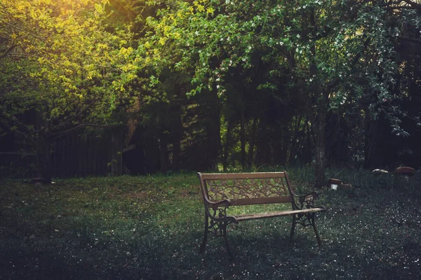 A couple bench isolated in nature in moody fantasy atmospheric nature outdoors. Grief and solitude concept background