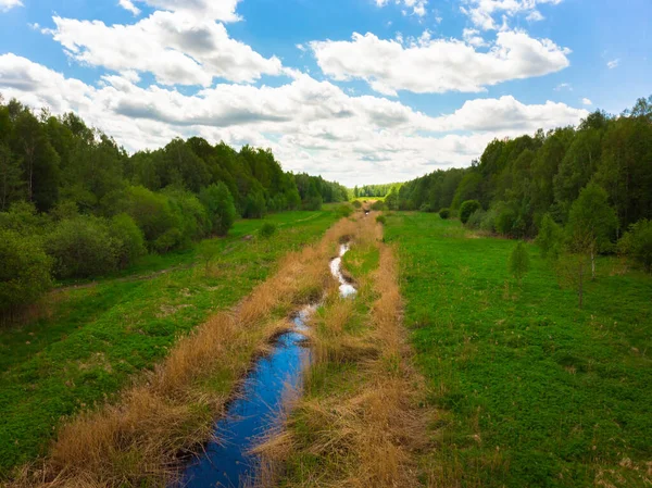 Forest River Lithuania Countryside Pristine Greenery Spring Sunny Skies —  Fotos de Stock