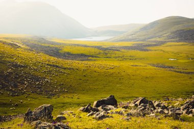 Panorama sunny day in caucasus mountains with flock of sheep in wilderness and Levani lake background