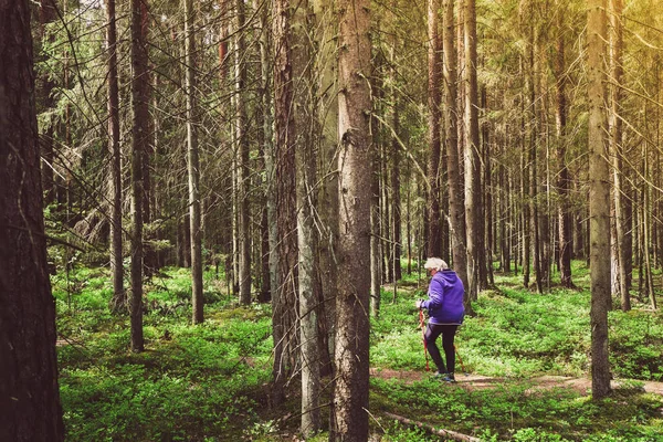 Side View Woman Road Walk Nordic Sticks Forest Surrounded Trees — Stockfoto