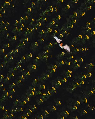 Yazın gün batımında elleri havada, çiçek açan ayçiçeği tarlasında elleri açık olarak ayakta duran en iyi kadın. Kız tarlada kayboldu ve ellerini kaldırarak nerede olduğunu gösteriyor.