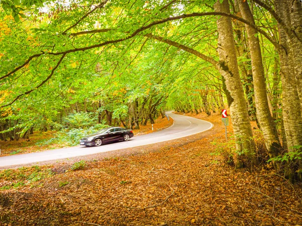Black Car Passing Fast Scenic Autumn Road Surrounded Autumn Nature — Stockfoto