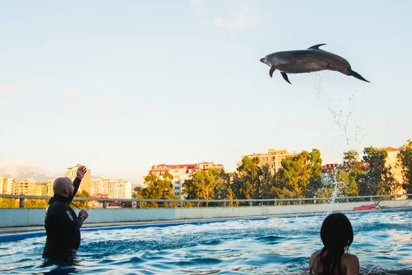 Batumi Georgia 28Th July 2022 Dolphin Jump Mid Air Dolphinarium — Fotografia de Stock