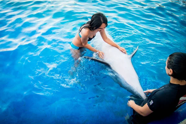 Batumi Georgia 28Th July 2022 Girl Swim Dolphin Pool Dolphin — Fotografia de Stock