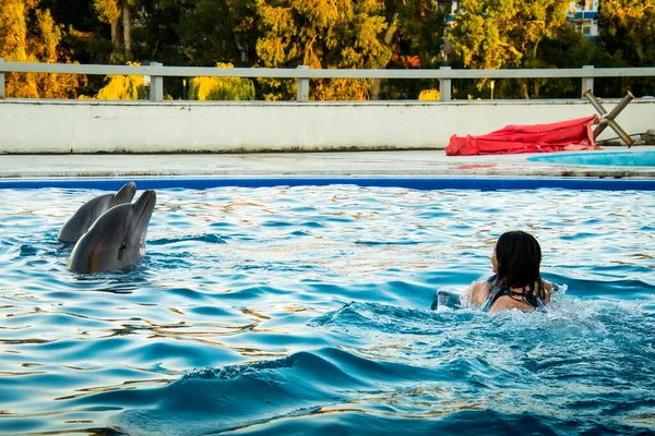 Caucasian Woman Swim Dolphin Pool Batumi Swim Dolphin Experience Concept — Fotografia de Stock