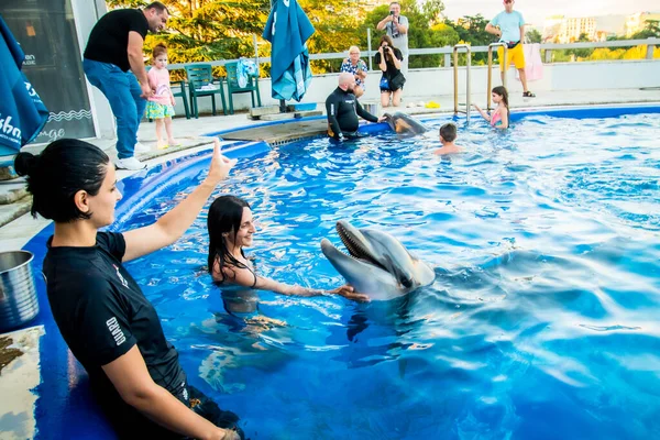 Batumi Georgia 28Th July 2022 Tourist Swim Dolphin Pool Together — Fotografia de Stock