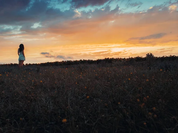 Girl Stand Nature Lookout Sunflower Field Sunset Thoughtful Woman Dreams — Photo