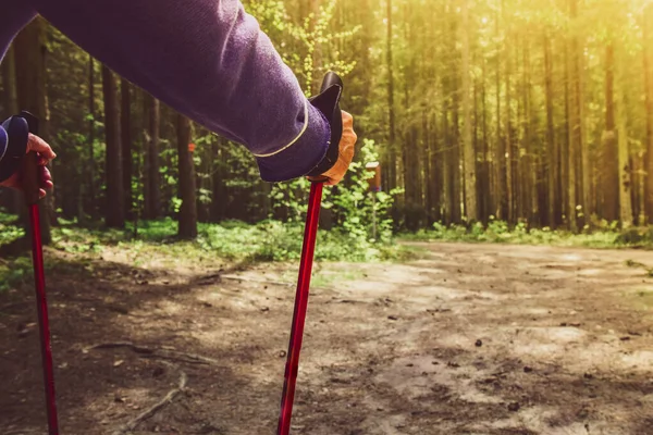 Rückenansicht Einer Frau Mit Rucksack Und Trekkingstöcken Nordic Walking Und — Stockfoto