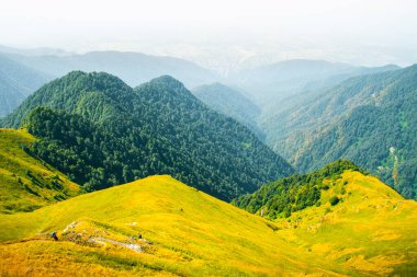 Aerial cinematic view group of hikers in distance hike on trail outdoors on peak in Lagodekhi national park. Active lifestyle outdoors with friends leisure