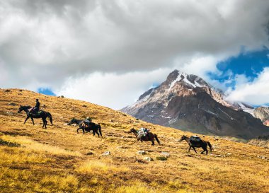 KAzbegi Ulusal Parkı 'nda Gürcü binicisi tarafından yüklenmiş dört at dağa çıkıyor. KAzbek dağının zirvesine tırman. Atlar dağcılara yardım etmek için çantaları kampa taşıyorlar.
