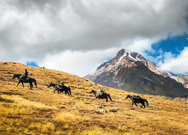 Vier Paarden Met Lading Gaan Bergop Onder Leiding Van Een — Stockfoto