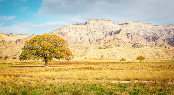 Árbol Icónico Colores Otoñales Con Impresionantes Formaciones Rocosas Fondo Parque —  Fotos de Stock