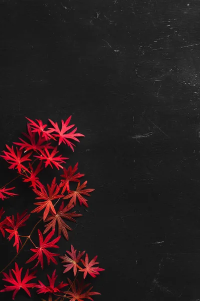 Kara tahtada kırmızı sonbahar yaprakları olan bir dal. Kopyalama alanı olan dikey resim