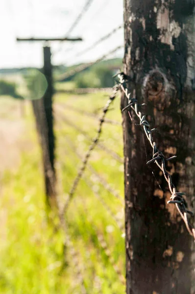 The Iron Curtain at Czech - Austrian borders, south Moravia. The Iron Curtain Trail. The EuroVelo 13