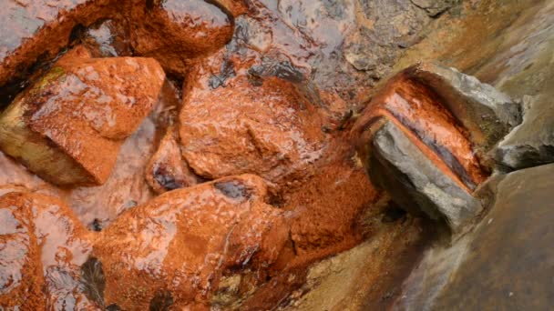 Żelazna woda mineralna wydobywająca się z kamienia. Tesikov Republika Czeska — Wideo stockowe