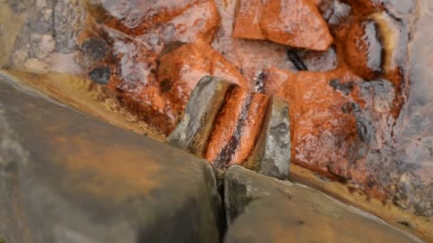 Z kamene tryskala železná minerální voda. Tesikov Česká republika — Stock video