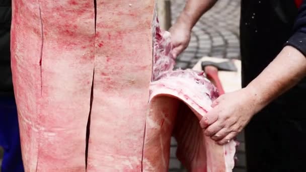 Matanza de cerdos Tradicional en la República Checa. Se está cortando carne de cerdo con grasa y piel — Vídeos de Stock