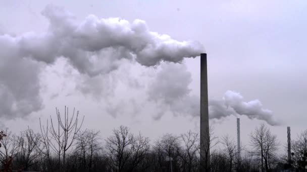 Několik továrních komínů kouří za šedého dne. Černobílý. — Stock video