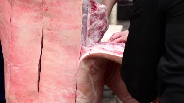 Παραδοσιακή Σφαγή Χοίρων Στην Τσεχική Δημοκρατία Χοιρινό Κρέας Λίπος Και — Αρχείο Βίντεο