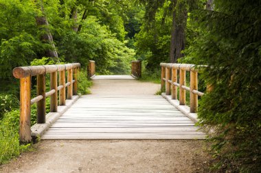 Lednice Çek Cumhuriyeti 28 Mayıs 2016. Lednice bölgesindeki tahta köprü.