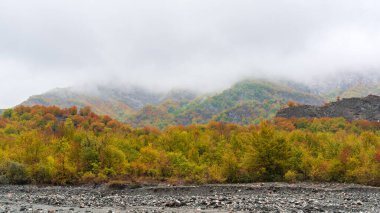 Sonbahar mevsiminde nehir yatağı