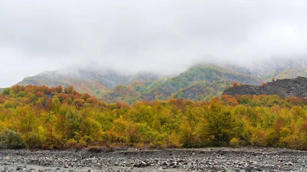 Sonbahar mevsiminde nehir yatağı
