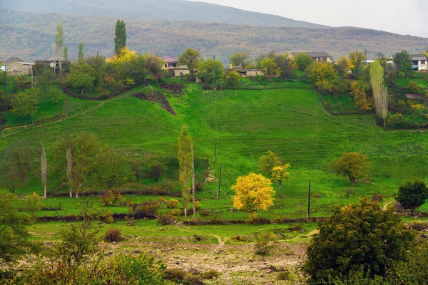 Žluté Stromy Zelené Louce Vesnici — Stock fotografie