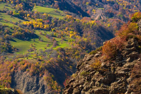Coloridos Árboles Otoñales Una Ladera Montaña — Foto de Stock