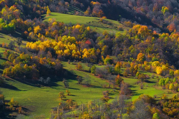 Πολύχρωμα Φθινοπωρινά Δέντρα Μια Πλαγιά Βουνού — Φωτογραφία Αρχείου