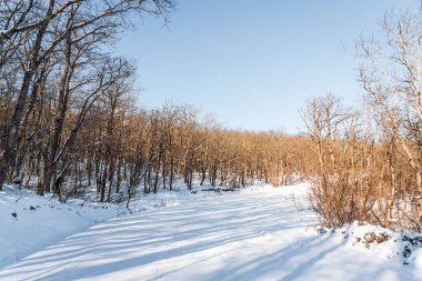 Snow covered road between mountain forest