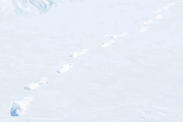 Людські Сліди Глибокому Снігу — стокове фото