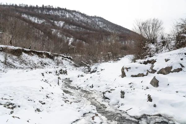 Rivière Des Montagnes Gelée Hiver — Photo