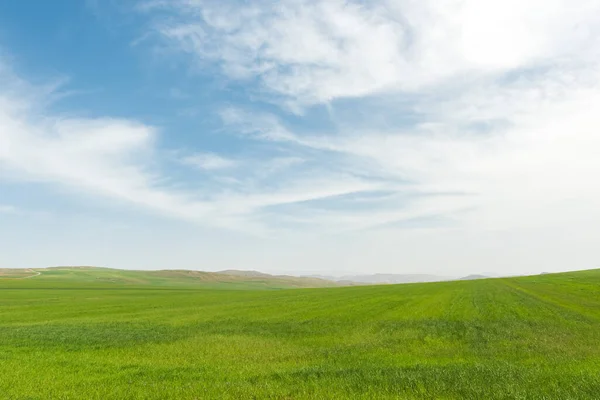 Landscape Green Farm Fields Cloudy Sky — Stock Fotó