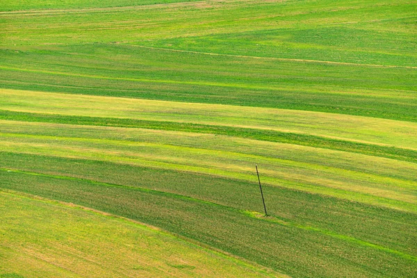 Paesaggio Con Campi Agricoli Arati Verdi — Foto Stock