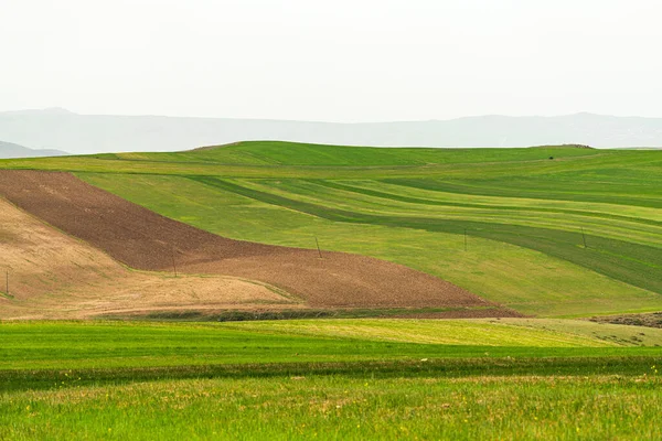 Landschaft Mit Grünen Feldern Und Bewölktem Himmel — Stockfoto