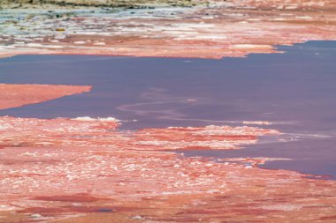 Tuz gölünün pembe suyu.
