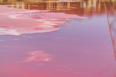 Tuz gölünün pembe suyu.