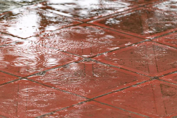 Drops Puddles Heavy Rain — Fotografia de Stock