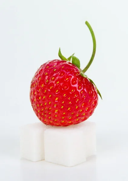Erdbeere auf Zuckerwürfel — Stockfoto